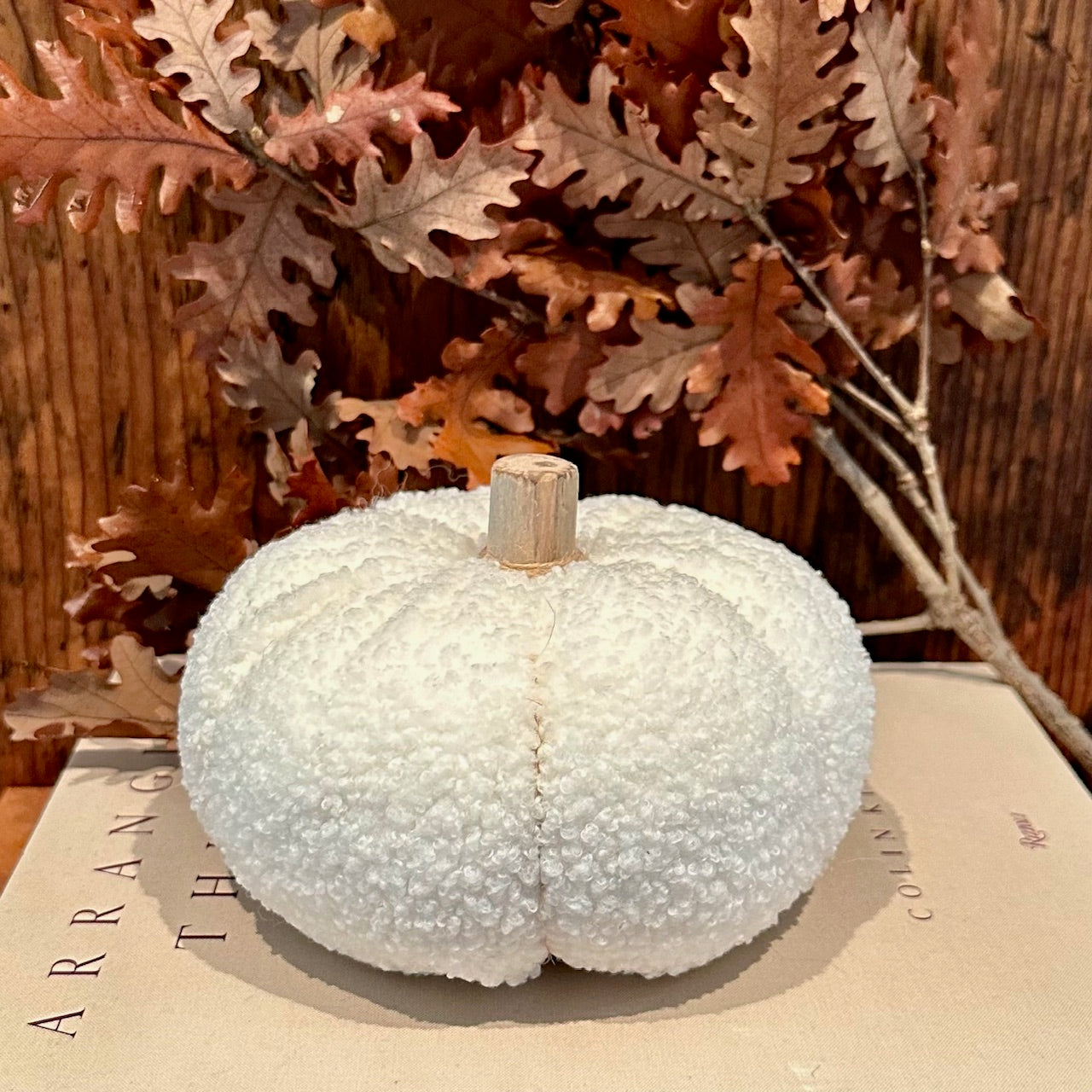 COZY PUMPKIN
